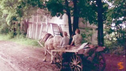 Bon anniversaire, Monsieur Tolstoï